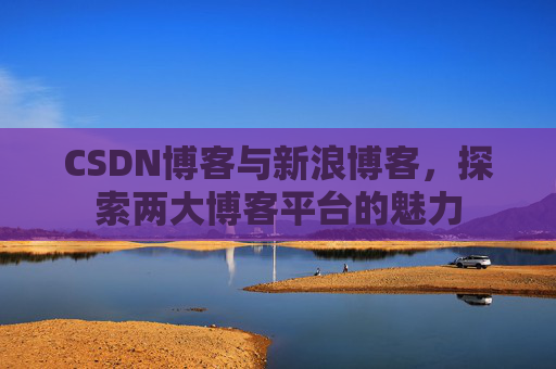 CSDN博客与新浪博客，探索两大博客平台的魅力